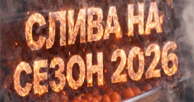 Бойлы слива 20мм - сезон 2026.