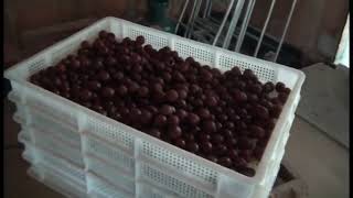 Хендмейд итальянского бойлостроителя 2014 год.