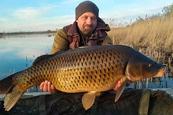 Двуреченский Игорь, г. Липецк