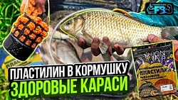 Алексей Ромашин и Станислав Посланчик