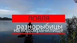 Виталий Калганов