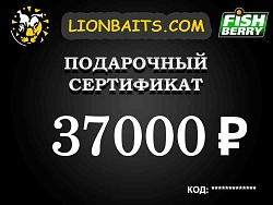 Подарочный сертификат LION на 37000 рублей