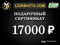 Подарочный сертификат LION на 17000 рублей
