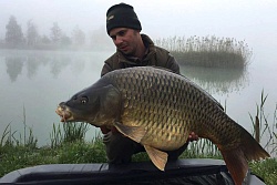 Филипп Калиниченко, г. Москва