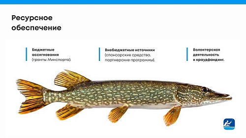 Решающий момент для будущего всего нашего спорта.